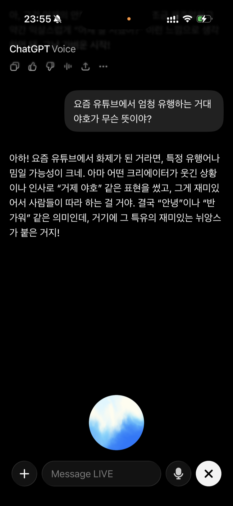 ChatGPT 음성 화면: 거제 야호가 무슨 뜻이냐는 질문에, 아마 크리에이터의 인사 밈이고 대충 안녕이라는 뜻일 거라고 추측해 답한다.